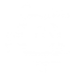 Turtle-Logo-White